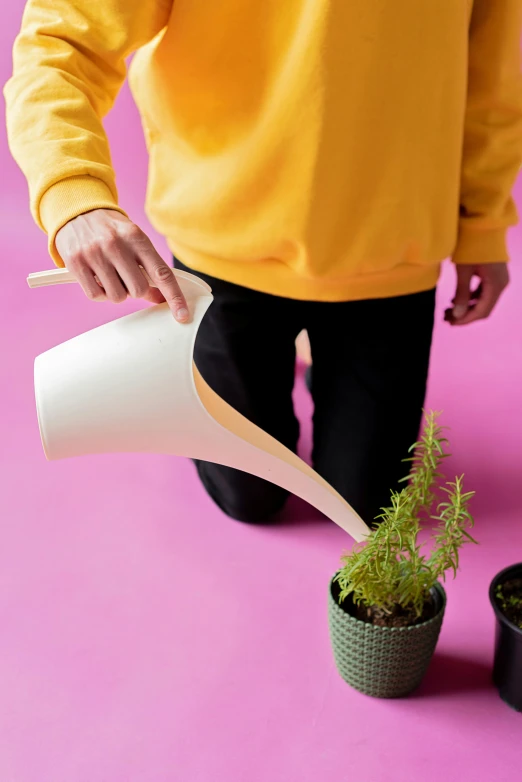 a man pouring water on a potted plant, trending on unsplash, conceptual art, pink and yellow, white sleeves, matte surface, yellow carpeted