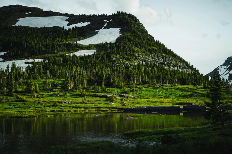 a mountain covered in snow next to a lake, lush green meadow, owen klatte, cinematic photo, fan favorite