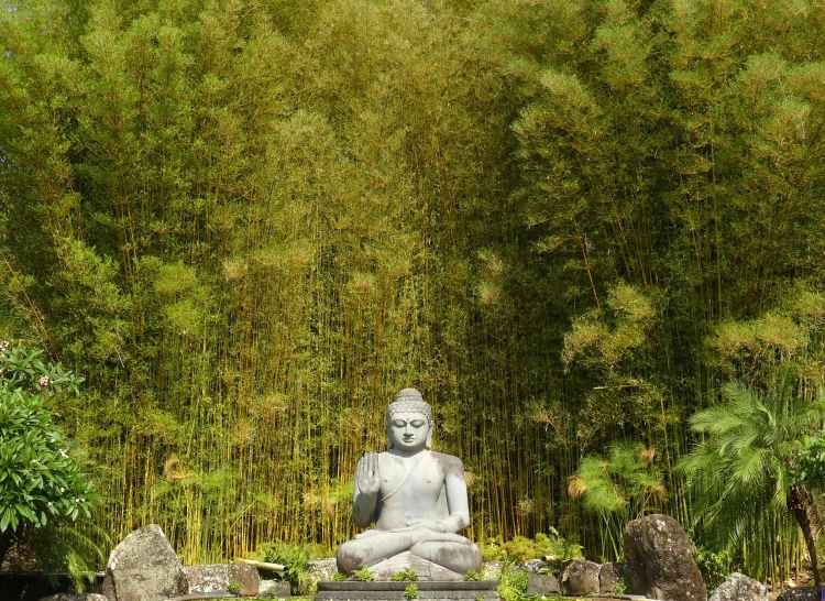 a buddha statue sitting in the middle of a pond, inspired by Kaigetsudō Ando, unsplash, sumatraism, in a bamboo forest, avatar image