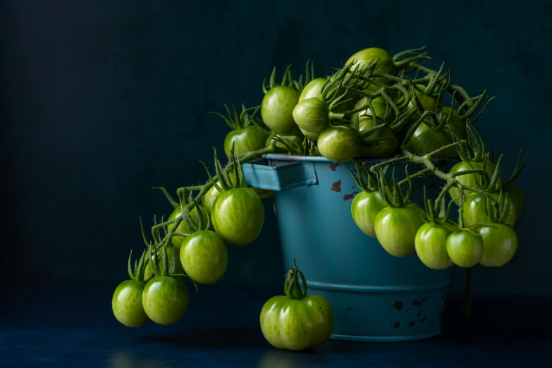 a blue bucket filled with green tomatoes on top of a table, inspired by Elsa Bleda, unsplash contest winner, hyperrealism, lecherous pose, studio medium format photograph, tomatoes hanging on branches, intricate image