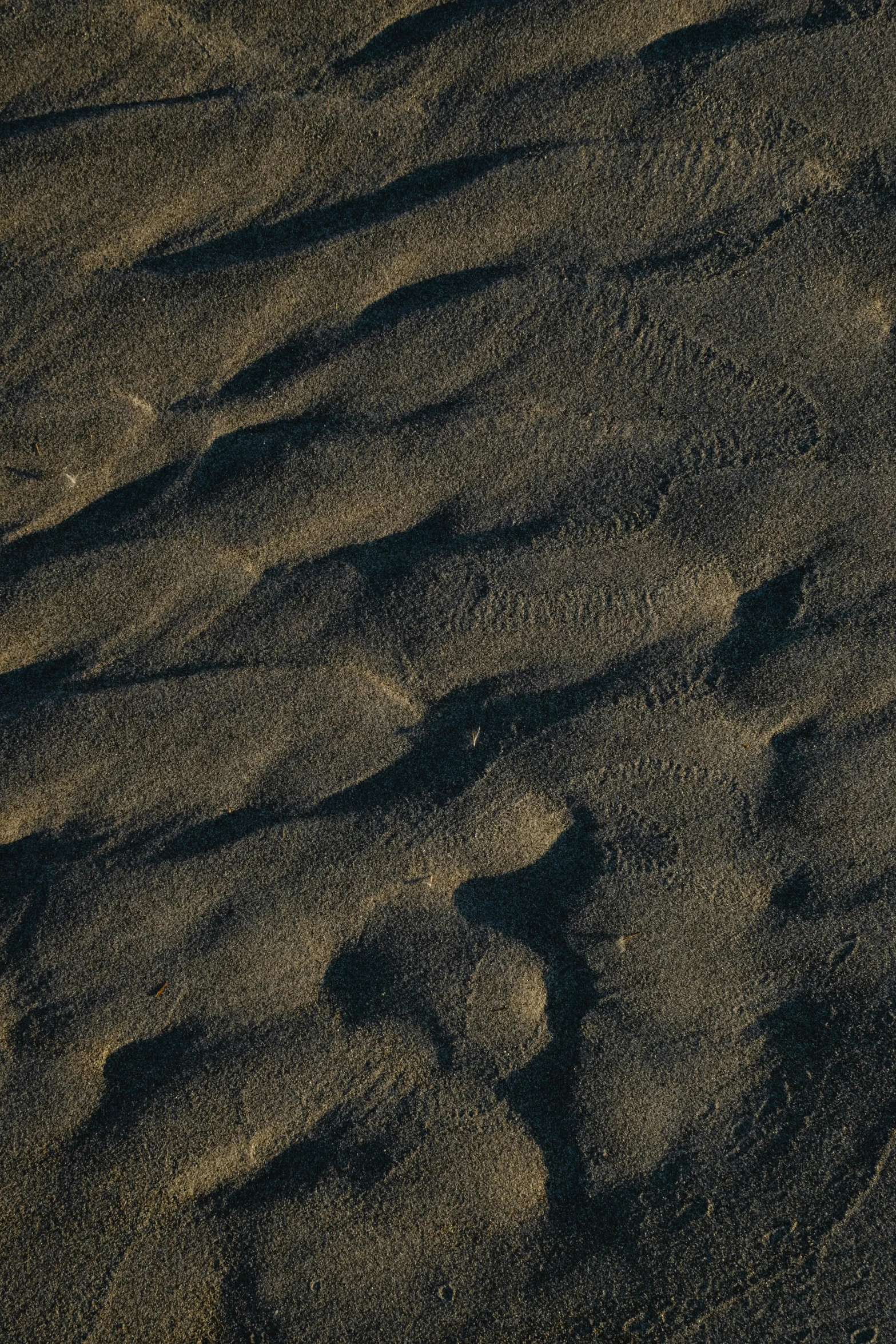 a bird sitting on top of a sandy beach, by Daniel Seghers, trending on unsplash, land art, 4 k seamless mud texture, aerial, (night), sinuous