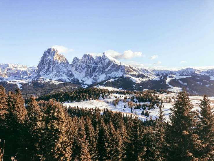 a view of a mountain range with trees in the foreground, by Sebastian Spreng, pexels contest winner, renaissance, beautiful winter area, evergreen valley, dolomites in the background, high quality product image”