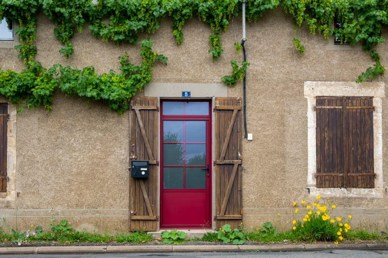 a red fire hydrant sitting in front of a building, a picture, inspired by Pierre Toutain-Dorbec, pexels contest winner, overgrown vines, doorway, taupe, french village exterior