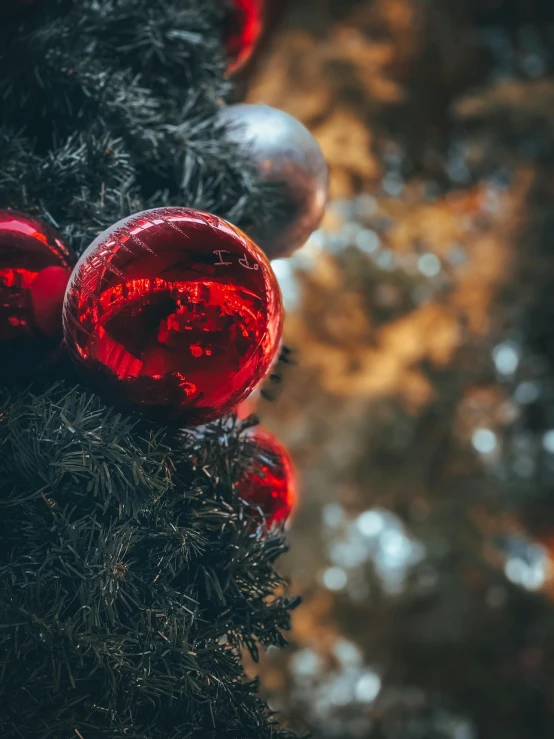 a close up of a christmas tree with red ornaments, a photo, by Adam Marczyński, pexels contest winner, multiple stories, profile picture, trees outside, thumbnail