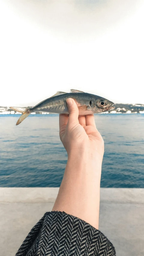 a person holding a fish over a body of water, hi-res, petite, food, hi - res