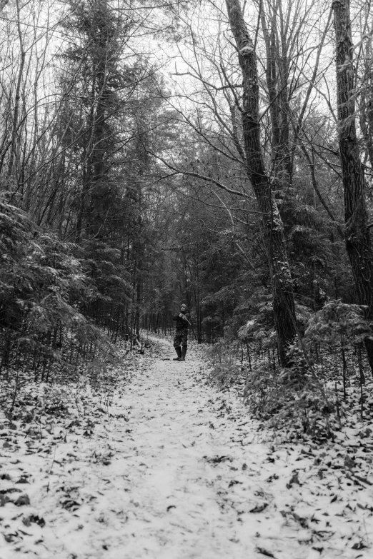 a black and white photo of a trail in the woods, man walking, (3 are winter, still from a music video, sparsely populated