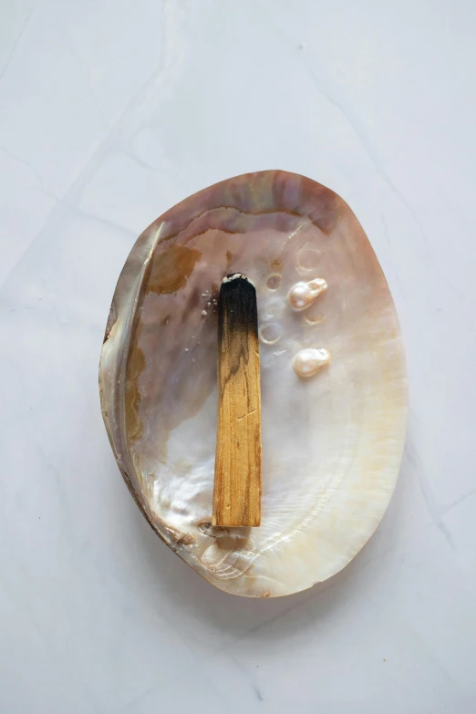 an aba aba aba aba aba aba aba aba aba aba aba aba aba aba aba aba aba, inspired by Inshō Dōmoto, unsplash, purism, paua shell, holding a burning wood piece, flatlay, cigar