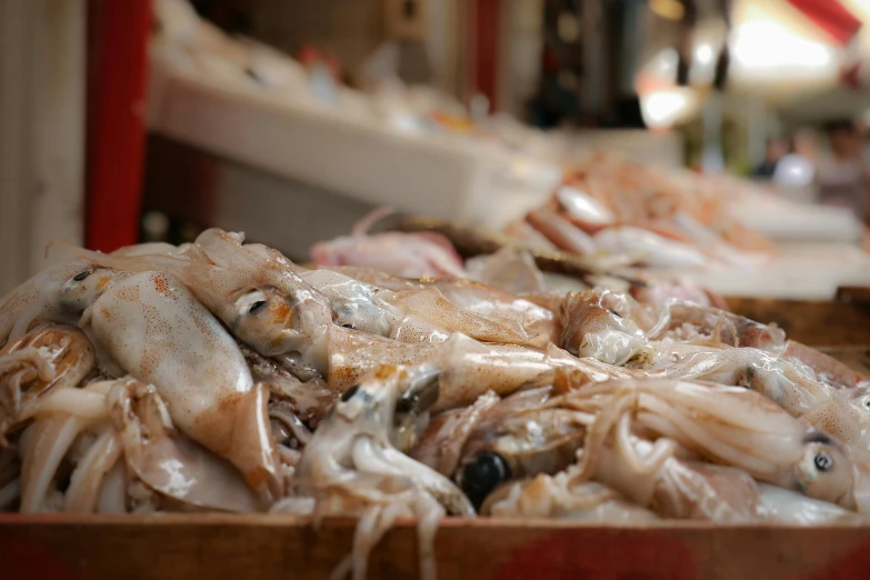 a box of squids sitting on top of a table, by Anna Findlay, unsplash, fish market stalls, 💋 💄 👠 👗, mediterranean, thumbnail