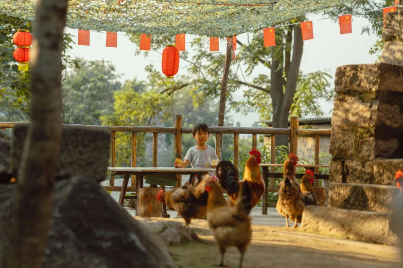 a man sitting on a bench surrounded by chickens, by Dan Content, pexels contest winner, shin hanga, with a chinese temple, avatar image, kids, ecovillage