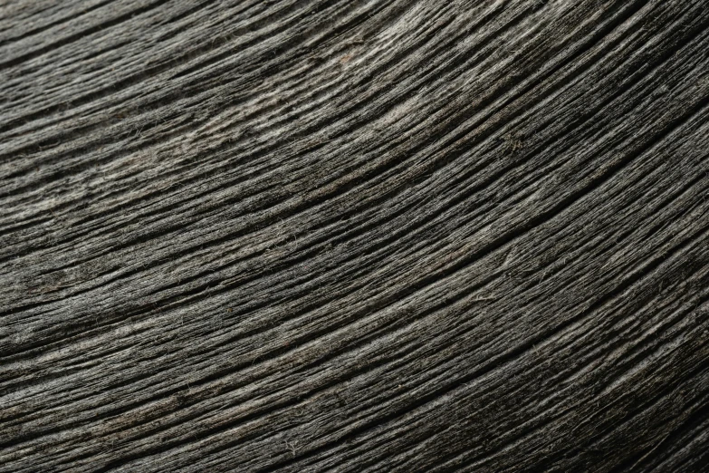 a close up of a piece of wood, inspired by Sōami, unsplash, dark gray hair, smooth curves, high resolution texture, black-hair