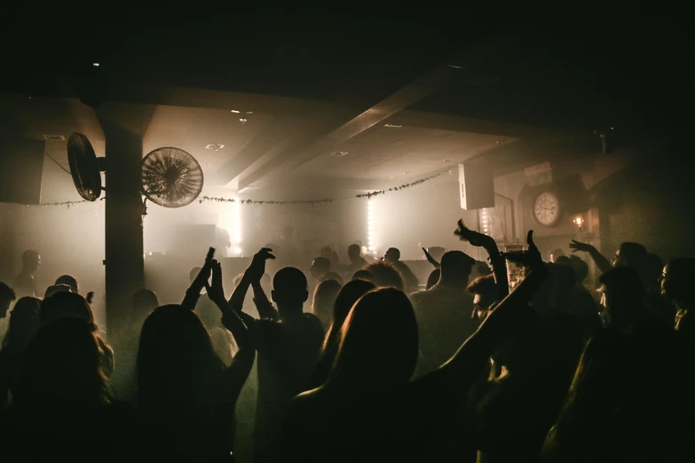 a crowd of people at a concert with their hands in the air, a portrait, by Nick Fudge, unsplash contest winner, in a nightclub, slight haze, gentleman's club lounge, lachlan bailey