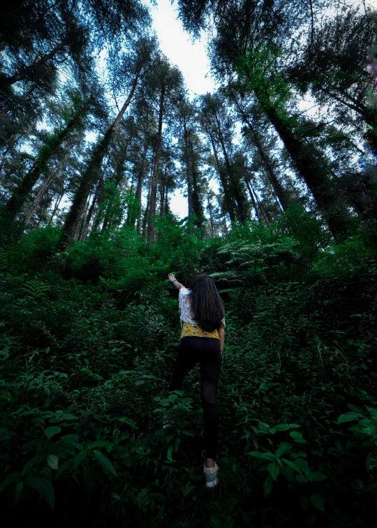 a person standing in the middle of a forest, profile image, lush greenery, multiple stories, low light photography