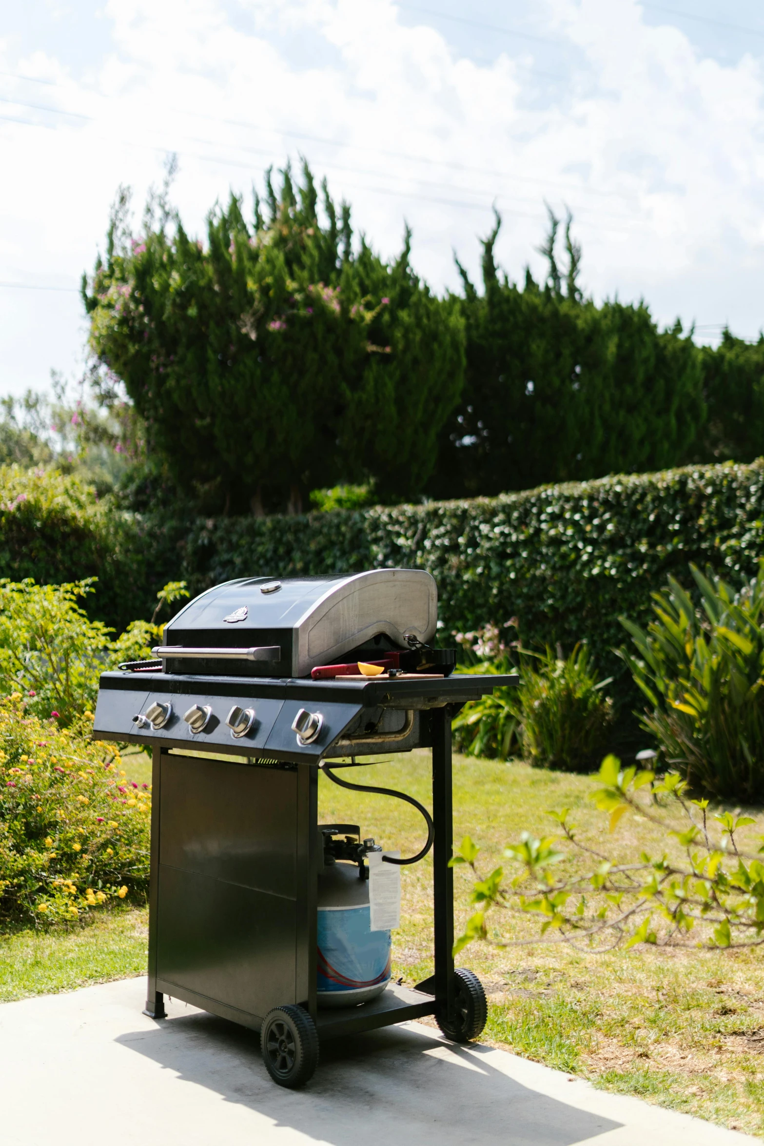 a grill sitting on top of a patio next to a bush, seaview, with a lush grass lawn, sunny environment, gas