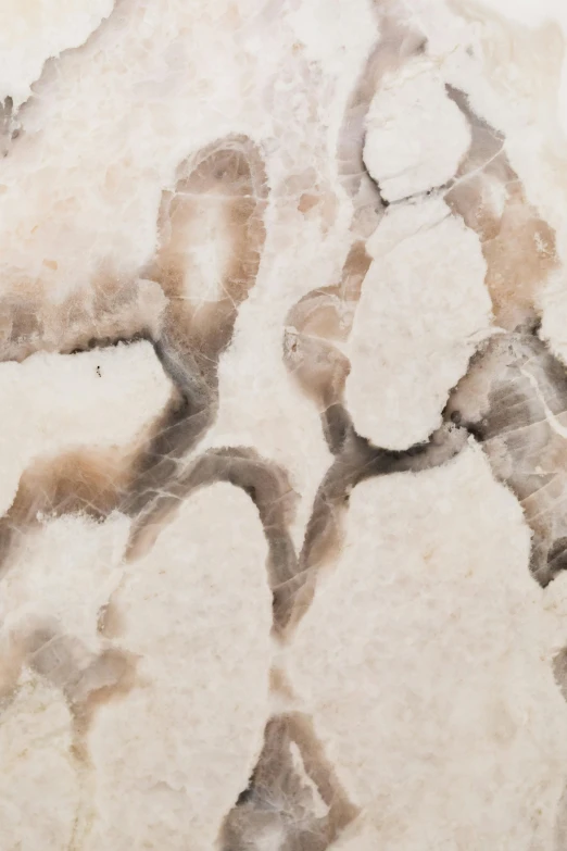 a giraffe that is standing in the dirt, an ultrafine detailed painting, by Elizabeth Charleston, close up of single sugar crystal, taupe, marbled swirls, organic form