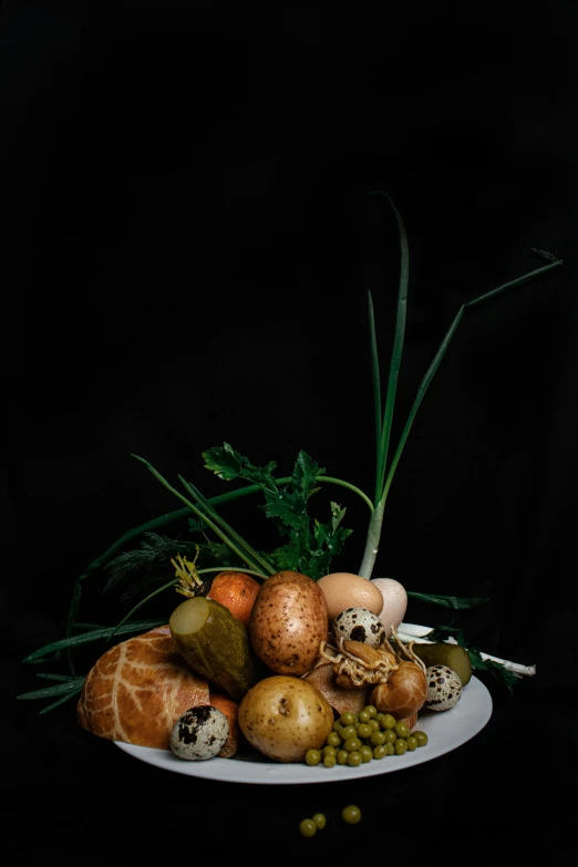 a close up of a plate of food on a table, by Matthias Stom, on a black background, overgrown with funghi, eggs, portrait n - 9