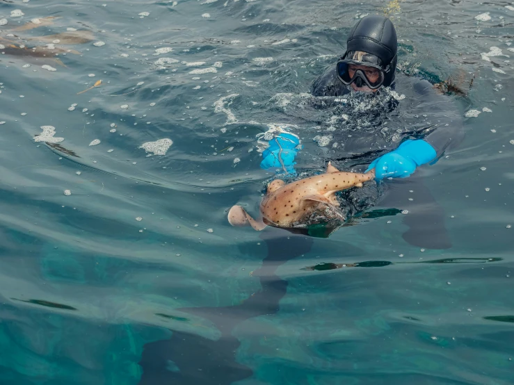 a person in a body of water with a fish, balaclava, taking from above, behind the scenes, te pae