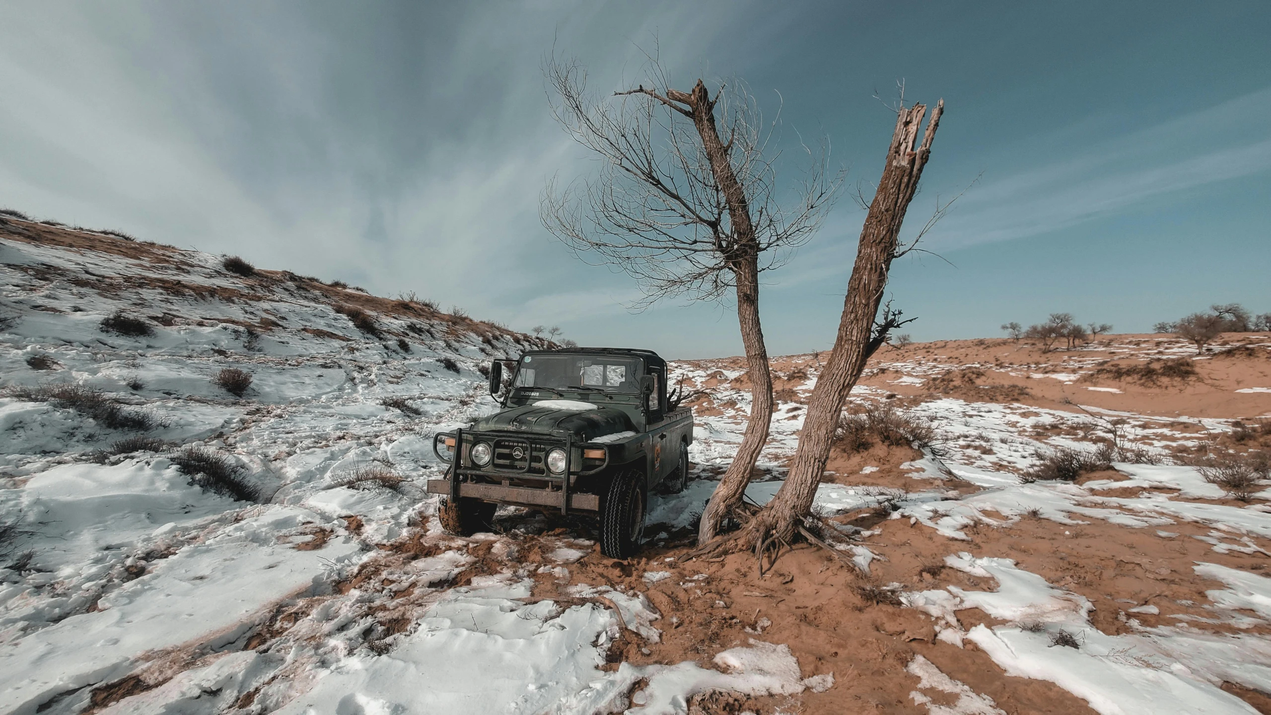 a jeep parked next to a tree in the snow, unsplash contest winner, auto-destructive art, in the desert beside the gulf, medium format, 4 k cinematic photo, desert camouflage