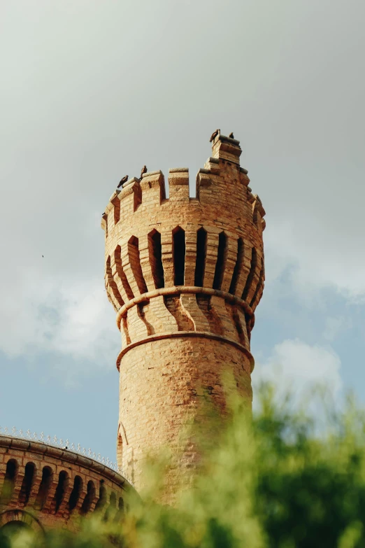a tall tower sitting on top of a lush green field, inspired by Taddeo Gaddi, renaissance, shot from roofline, battlements, terracotta, spiky