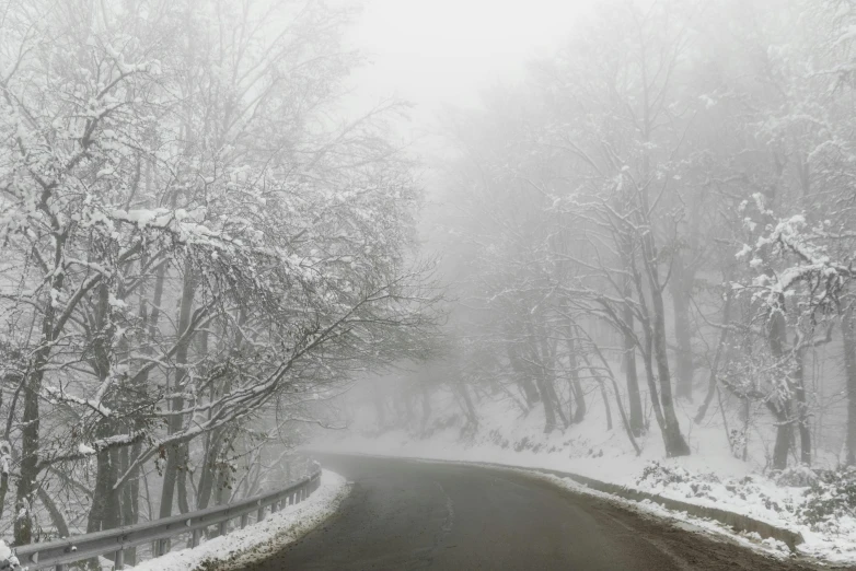 a road in the middle of a forest covered in snow, pexels contest winner, romanticism, volumetric fog and haze, hilly road, (3 are winter, brown