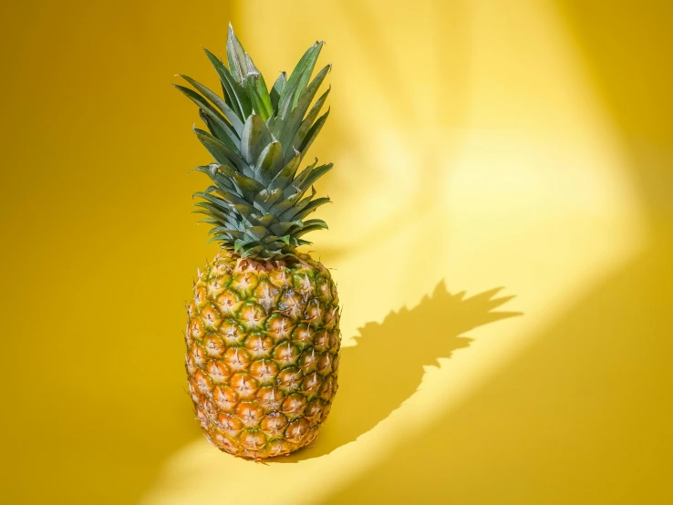 a pineapple sitting on top of a yellow surface, in the sun, lit from the side, vibrant colour, high-quality wallpaper