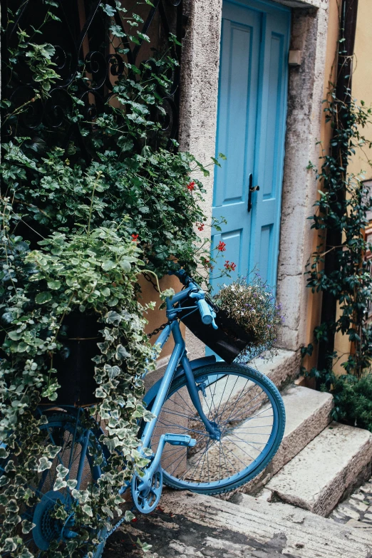 a blue bicycle parked in front of a blue door, pexels contest winner, romanticism, lush greenery, mediterranean, better homes and gardens, portra