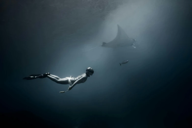 a man swimming next to a manta ray, a picture, by Adam Marczyński, unsplash contest winner, hasselblad photography, a woman floats in midair, depth haze, fine art print