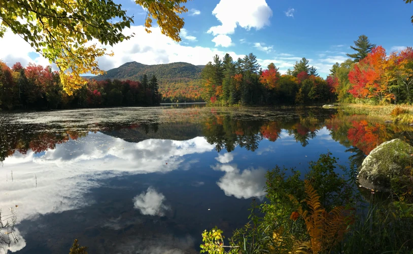 a large body of water surrounded by trees, by Jessie Algie, pexels contest winner, hudson river school, vermont fall colors, alpine pond with water lilies, a photo of a lake on a sunny day, maple syrup sea