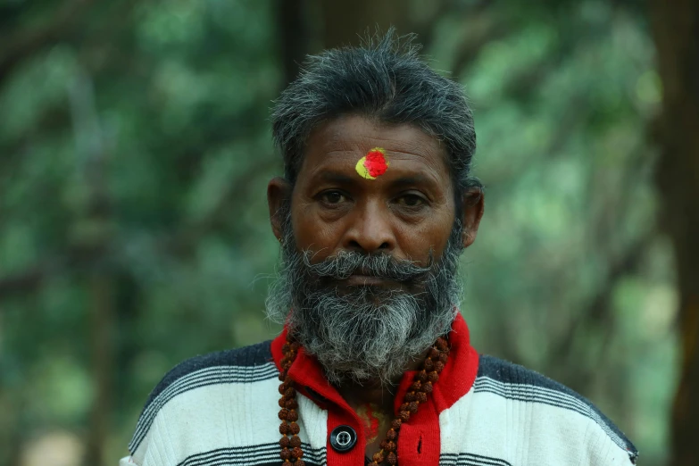 a man with a beard and a flower on his forehead, inspired by Kailash Chandra Meher, pexels contest winner, portrait of forest gog, avatar image, indian temple, 2 0 0 0's photo