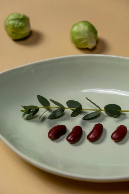 a white plate topped with red beans and sprouts, a still life, inspired by Ceferí Olivé, unsplash, fantastic realism, celadon glaze, botanical herbarium, detail shot, pods