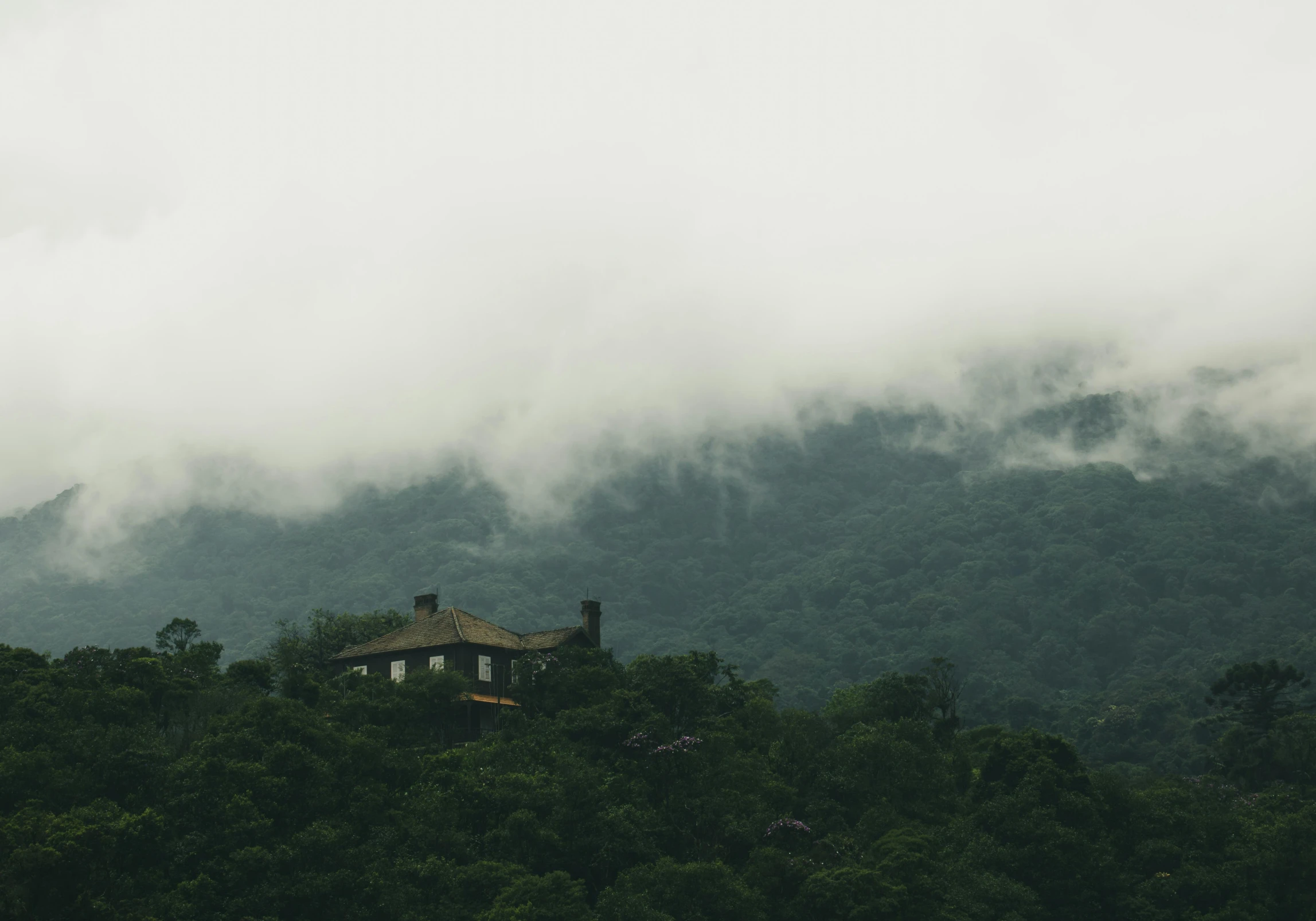 a house sitting on top of a lush green hillside, inspired by Elsa Bleda, pexels contest winner, hudson river school, ominous foggy environment, moody : : wes anderson, monsoon, grey