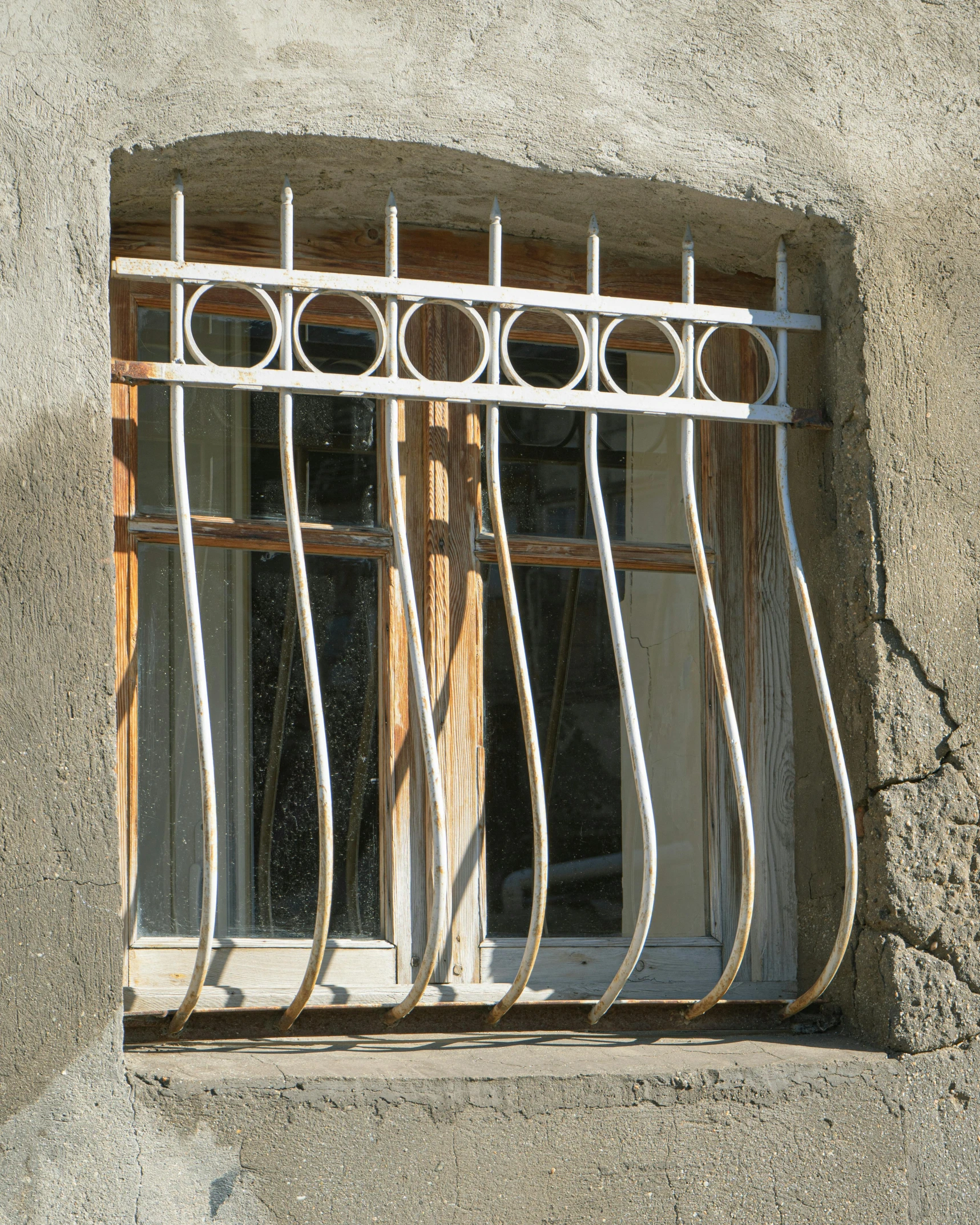 a cat sitting on top of a window sill, unsplash, art nouveau, steel window mullions, west slav features, metal bars, curved