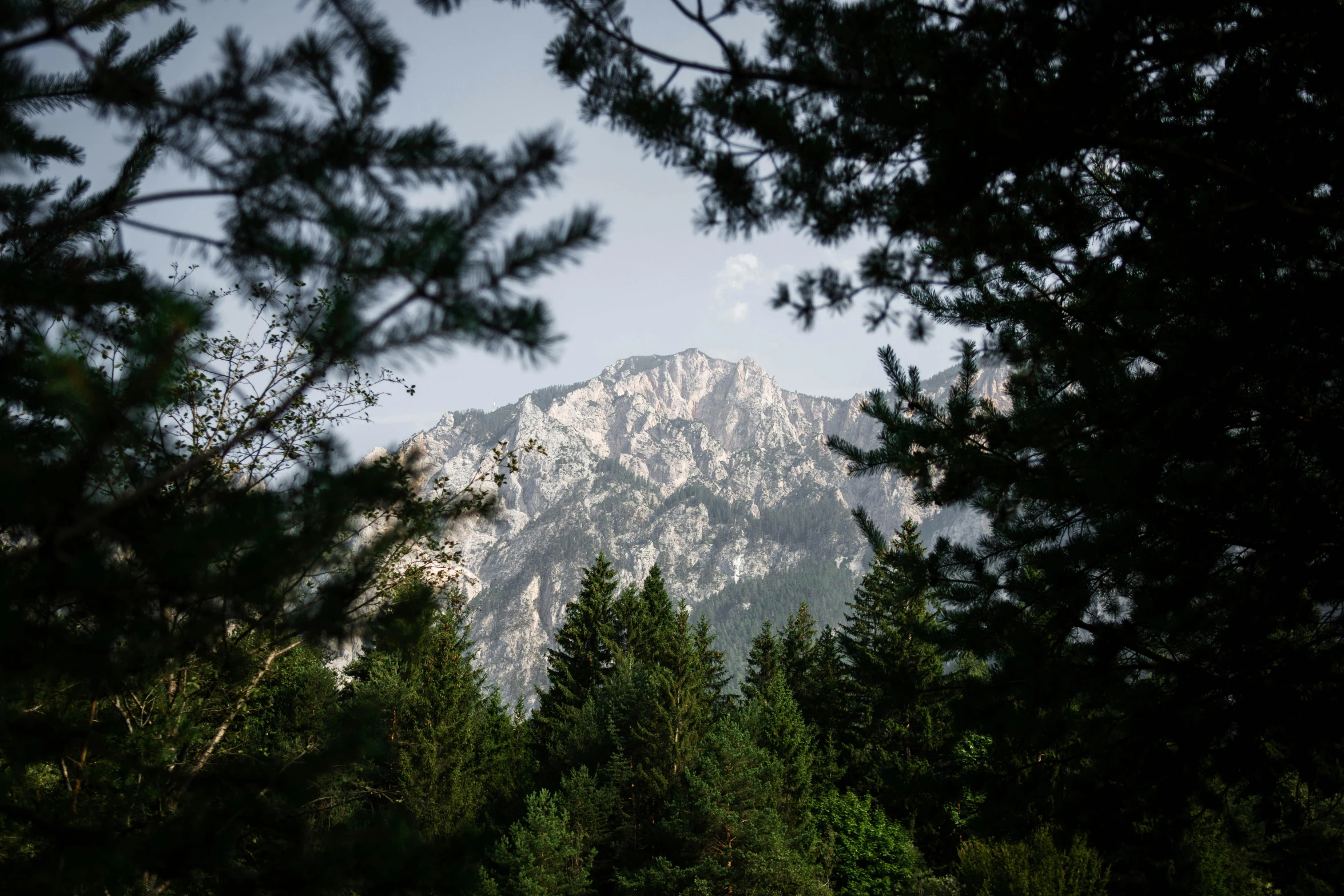 a view of a mountain through some trees, by Tobias Stimmer, unsplash, mount olympus, conde nast traveler photo, no cropping, 2000s photo