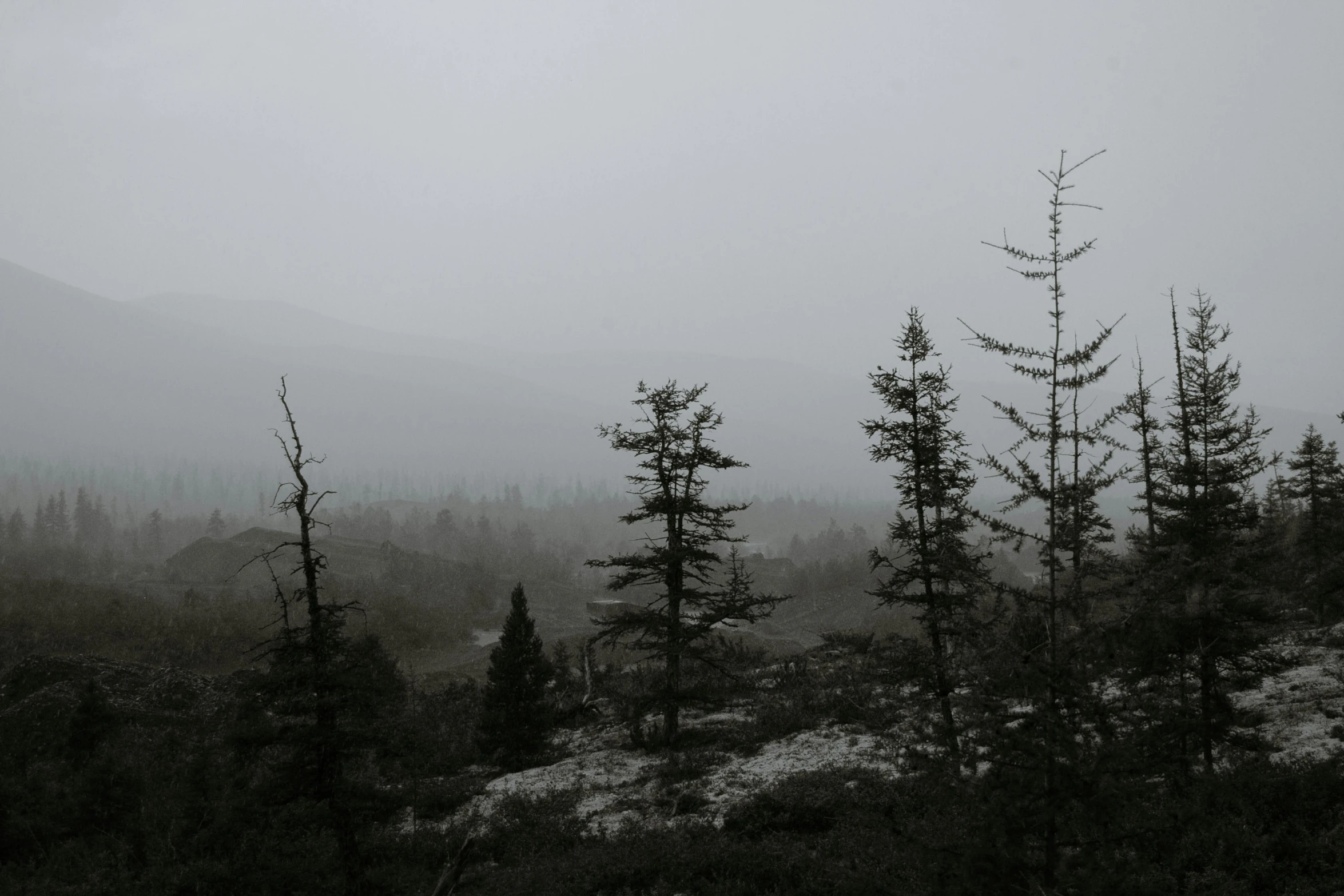 a black and white photo of some trees, by Emma Andijewska, unsplash contest winner, overlooking a vast serene forest, gray sky, gloomy colors, misty mountains