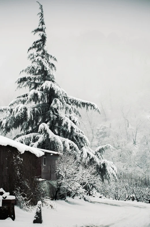 a black and white photo of a cabin in the snow, a black and white photo, by Lucia Peka, renaissance, panoramic, uttarakhand, color photo, tree house