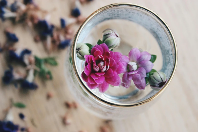 a close up of a glass with flowers in it, by Nina Hamnett, unsplash, high angle shot, head in a jar, verbena, entertaining