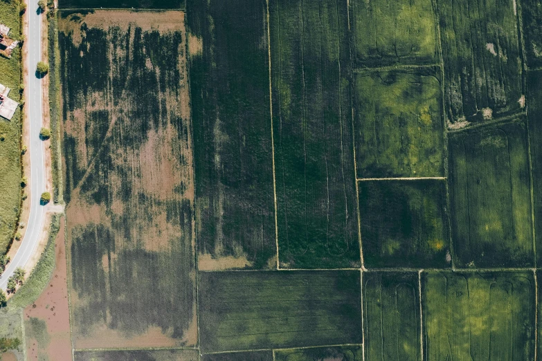 an aerial view of a field of crops, an album cover, inspired by Elsa Bleda, pexels, patchwork, 15081959 21121991 01012000 4k, weathered olive skin, high resolution image