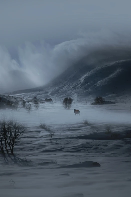 a herd of horses standing on top of a snow covered field, a matte painting, by jessica rossier, pexels contest winner, dark super storm, rolling foothills, norwegian landscape, wolf in a snowfield