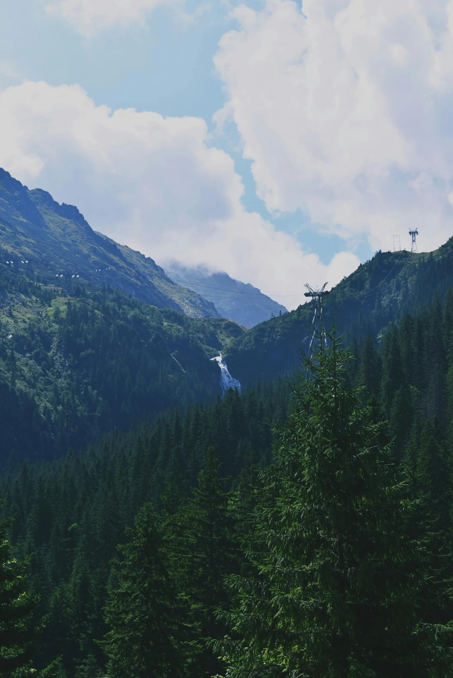 a herd of cattle standing on top of a lush green hillside, forest and waterfall, chairlifts, spruce trees, glacier