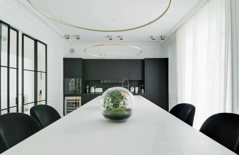 a dining room with a white table and black chairs, inspired by Albert Paris Gütersloh, unsplash contest winner, minimalism, large terrarium, luxury bespoke kitchen design, an island made of caviar, oval office