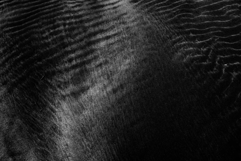 a black and white photo of an elephant, an album cover, inspired by Edward Weston, lyrical abstraction, water ripples, 8k fabric texture details, texture of sand, dark deep black shadows