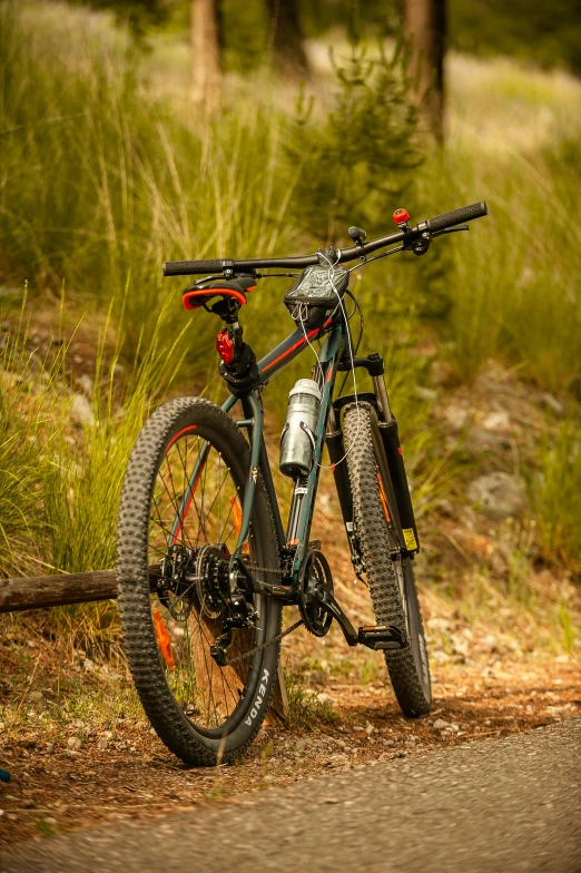 a bike parked on the side of a dirt road, in front of a forest background, square, whistler, “ iron bark