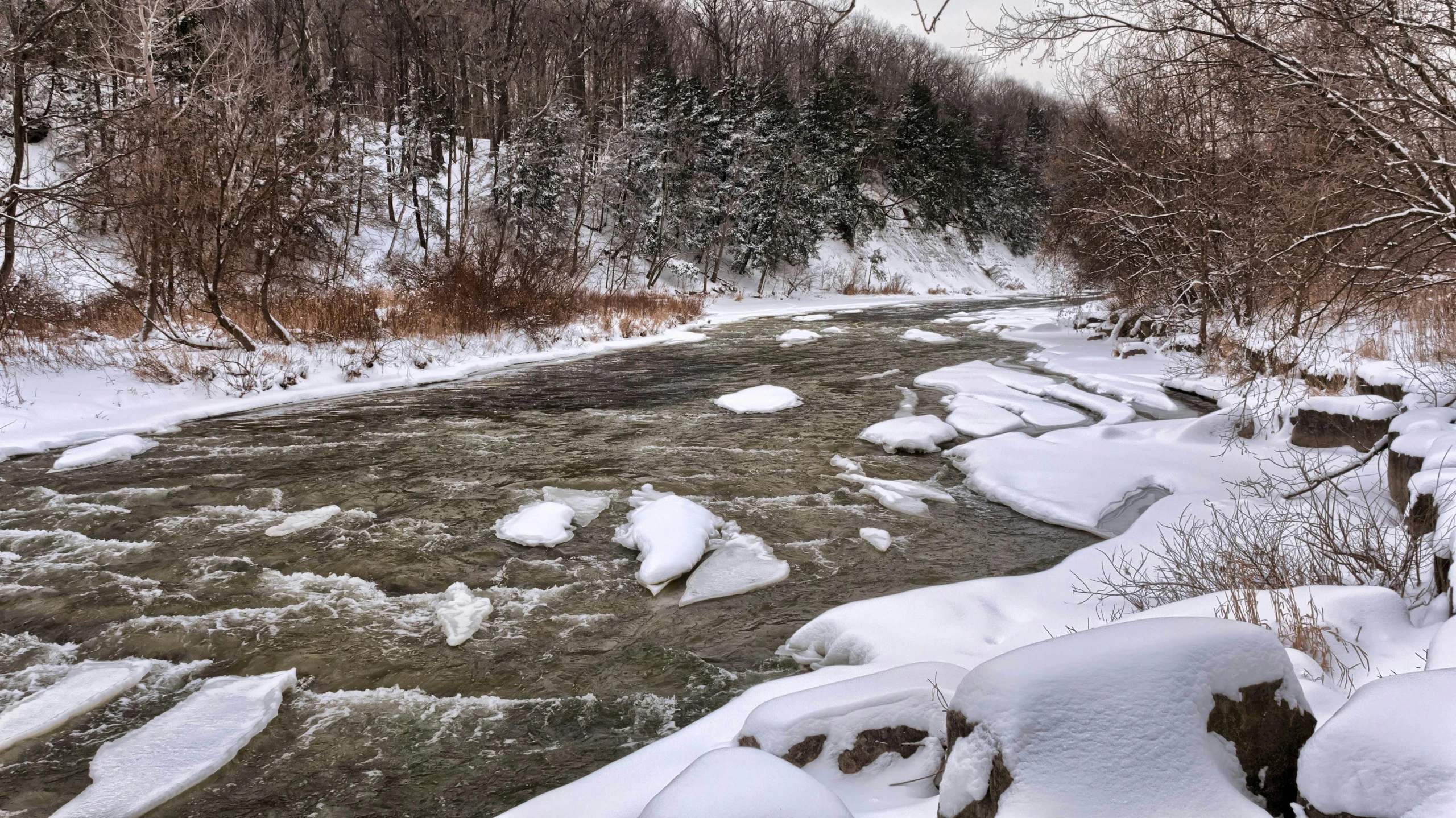 a river running through a forest covered in snow, a portrait, inspired by Edward Willis Redfield, pexels contest winner, grey, panoramic, quebec, erosion channels river