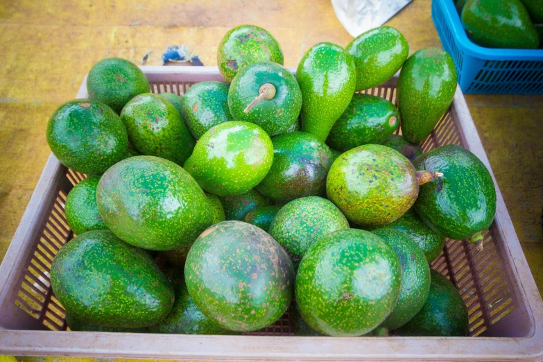 a basket full of green avocados sitting on a table, vietnam, multiple stories, thumbnail, multicoloured