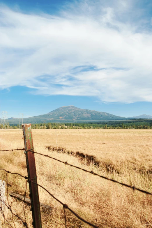 a fence in a field with a mountain in the background, square, full res, with slight stubble, evergreen valley