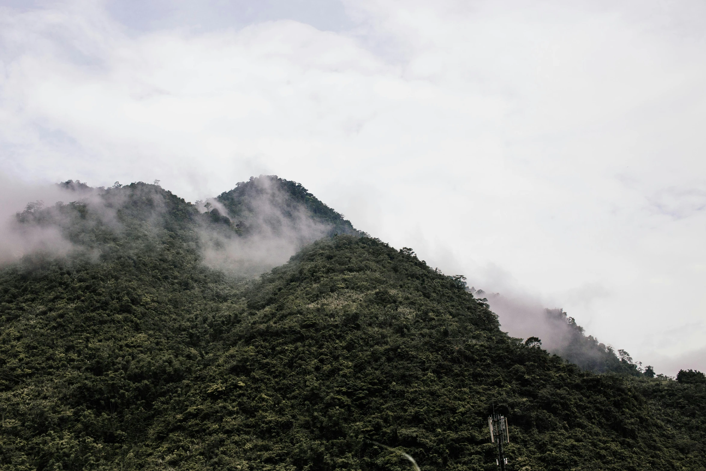 a group of people standing on top of a lush green hillside, by Alejandro Obregón, pexels contest winner, sumatraism, covered in clouds, seen from a distance, dark forests surrounding, grey