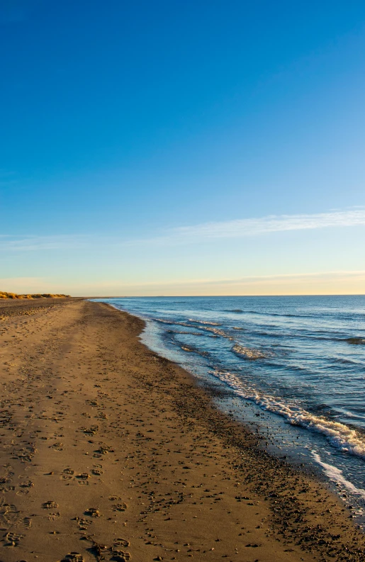 a sandy beach with footprints in the water, by Dave Melvin, unsplash, clear skies in the distance, break of dawn on neptun, autumn, slide show