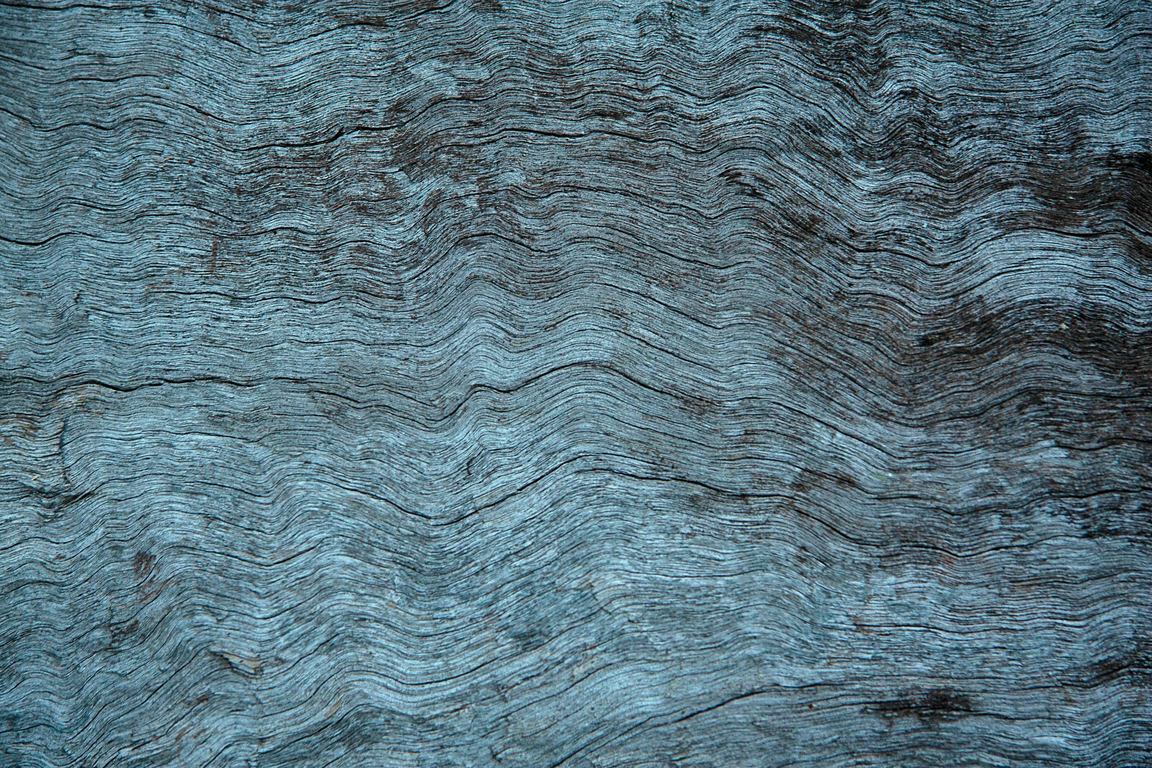 a close up of a piece of wood, by Peter Churcher, unsplash, soft blue texture, “ iron bark, currents, shade