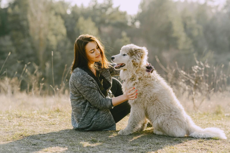 a woman sitting in a field with a dog, fluffy body, supportive, grey, aussie