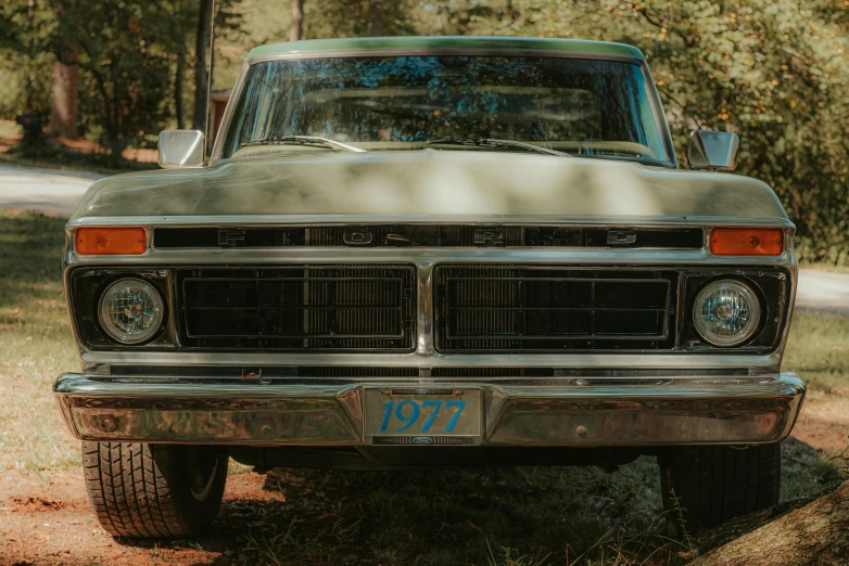 an old truck parked on the side of the road, pexels contest winner, muted green, pbr materials, 1977, frontal