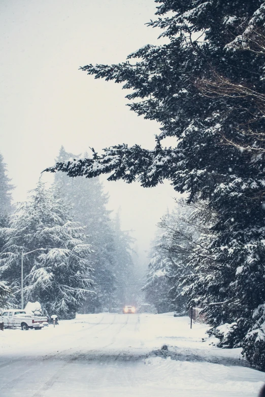 a car driving down a snow covered road, by Matt Cavotta, pexels contest winner, renaissance, black fir, neighborhood, background image, pacific northwest